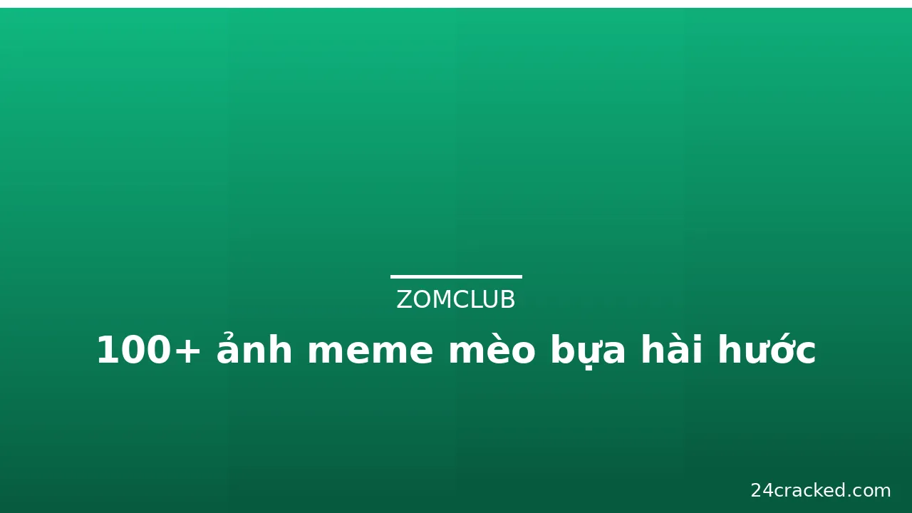 100+ ảnh meme mèo bựa hài hước