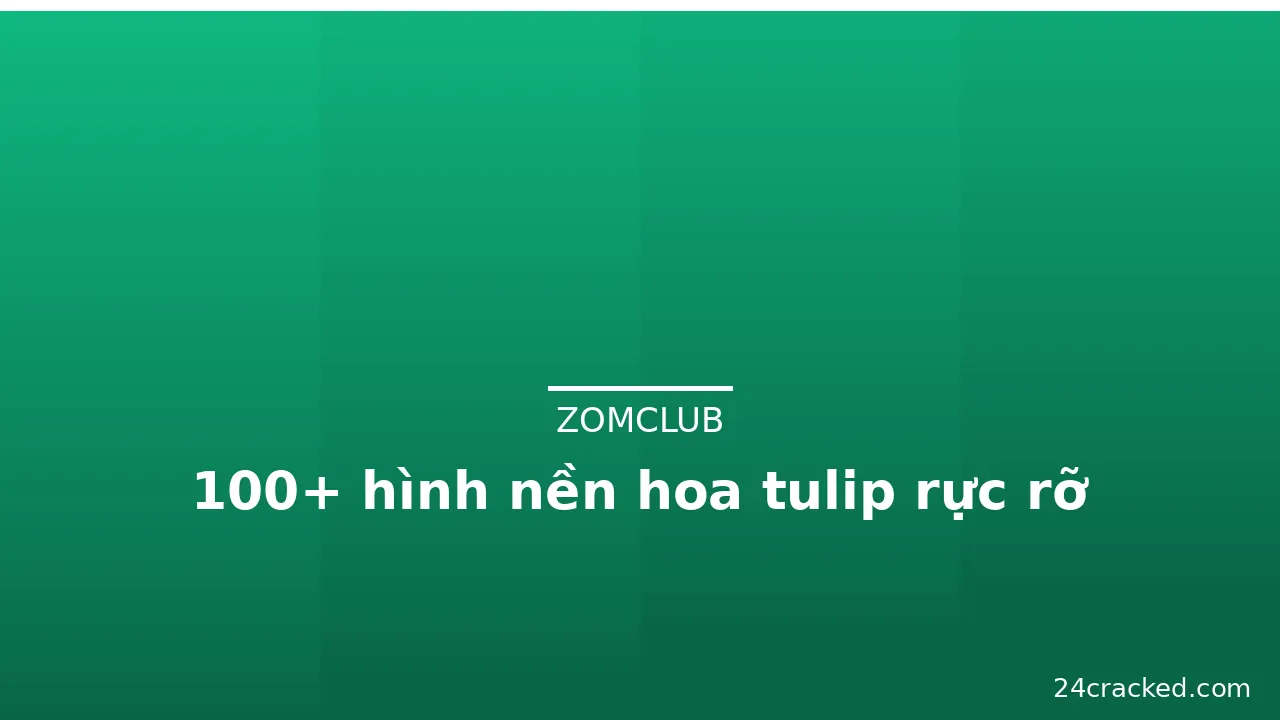 100+ hình nền hoa tulip rực rỡ · ảnh 3